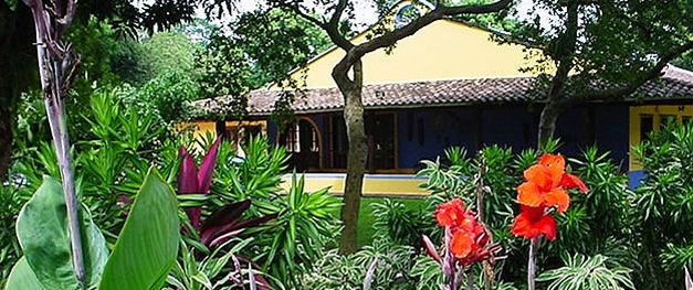 Los Expertos al Aire Libre