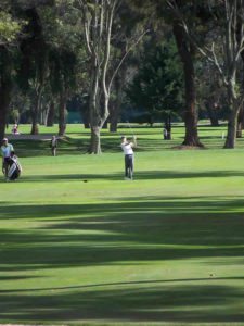 Patrick Cantlay en hoyo 17