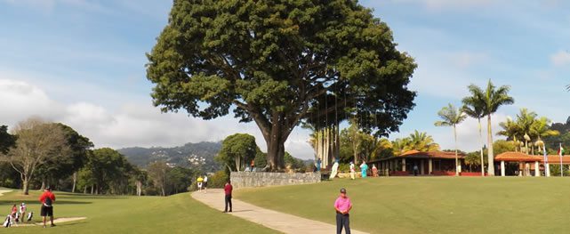 La Vida del Árbol de Golf