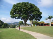 Ceiba, Lagunita Country Club