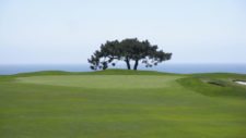 Pebble Beach Hole 6 (cortesía theitinerantgolfer.com)