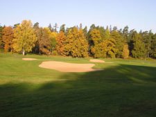 La Vida del Árbol de Golf