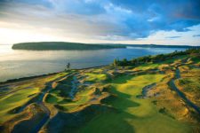 The Charlie Brown Tree Chambers Bay golf (cortesía www.washington golfguide.com)