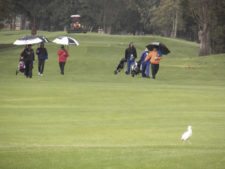 “Camaradería, espíritu deportivo y un bello campo de golf…”