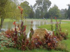 “Camaradería, espíritu deportivo y un bello campo de golf…”