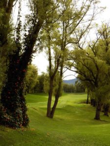 “Camaradería, espíritu deportivo y un bello campo de golf…”