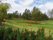 “Camaradería, espíritu deportivo y un bello campo de golf…”