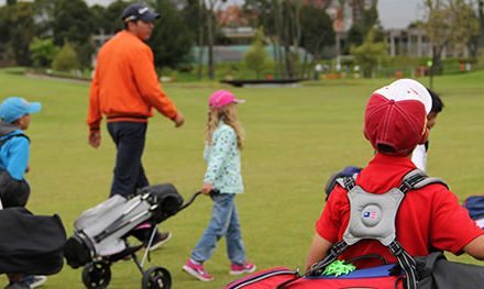 La Diversión del Golf