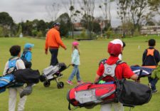 La Diversión del Golf