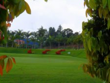 Cancha Par 3 o Pitch & Putt…!