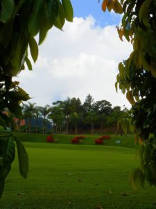 Cancha Par 3 o Pitch & Putt…!