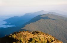 Fila Maestra Cordillera de la Costa (cortesía www.costadevenezuela.org)