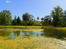 Canchas de Buenos Aires, San Eliseo Country, Golf, Hotel & Spa