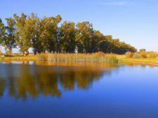 Canchas de Buenos Aires, San Eliseo Country, Golf, Hotel & Spa