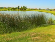 Canchas de Buenos Aires, Nordelta Golf Club