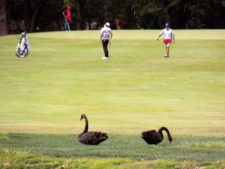 Estadounidense Lunde logra terminar en la punta del Pacific Colombia Championship