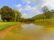 Fedegolf visita el Club Campestre La Sabana