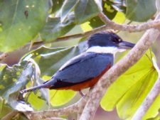 A vuelo de pájaro