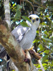 A vuelo de pájaro