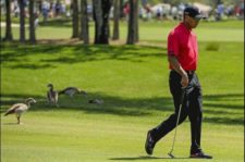 Jhonny Vegas regresó a la Palestra con E12 en el Honda Classic