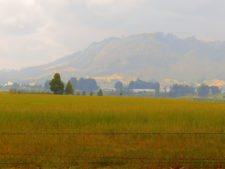 La pasión que te arropa en La Sabana