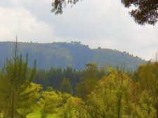 La pasión que te arropa en La Sabana