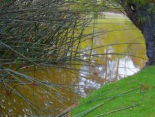 La pasión que te arropa en La Sabana