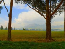 La pasión que te arropa en La Sabana