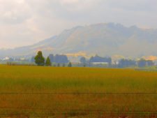 La pasión que te arropa en La Sabana