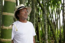 Simón Vélez, la Talega del Carpintero de Guadua (cortesía www.cronicadelquindio.com)