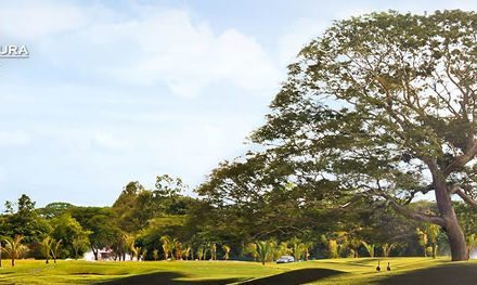 Clasificatorio (Q-School) para el LEXUS Panamá Classic