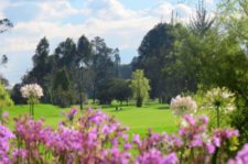 Encuentro con la Naturaleza en Pueblo Viejo (cortesía www.clubpuebloviejo.com)