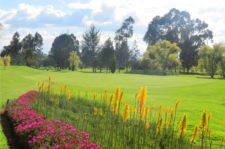 Encuentro con la Naturaleza en Pueblo Viejo (cortesía www.clubpuebloviejo.com)