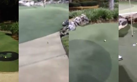 Video: Bubba & Putt Mágico