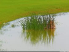 Golf Todo incluido en el Palace Resort en Cancún