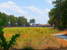 Pinehurst No.2