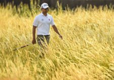 Adam Scott (cortesía Stuart Franklin / Getty Images)