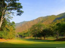 Insectos alimentan la vida y el golf