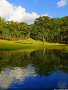 Insectos alimentan la vida y el golf