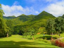 Insectos alimentan la vida y el golf