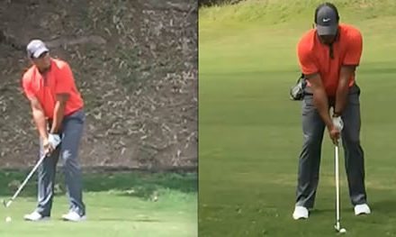 Videos del swing del ídolo Jhonattan Vegas en Lagunita