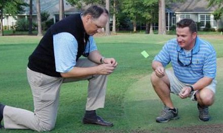 ¿Qué es un superintendente de campos de golf?