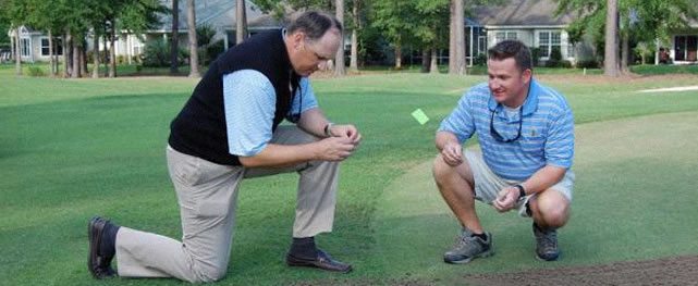 ¿Qué es un superintendente de campos de golf?