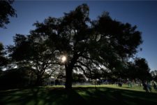 Árbol frente a Casa Club de Augusta National 2015 (cortesía © Augusta National)