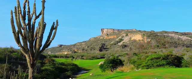 Golf de competencia, playa, Sambil Curaçao y una bella e interesante isla por descubrir