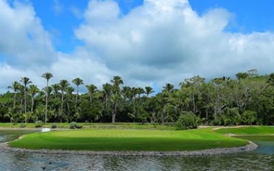 ¡El campo de golf Litibú se volvió un reto para los golfistas profesionales en el primer día del torneo del México Golf Tour!