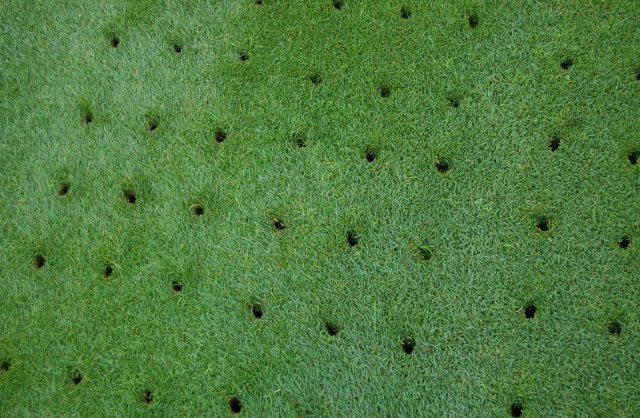 Aireación del césped (cortesía www.webdehogar.com) | Revista Fairway