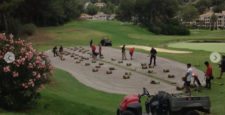 ¿Cómo seleccionar la mejor especie de grama para cada campo de golf? (cortesía www.novogreen.net)