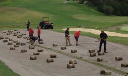 ¿Cómo seleccionar la mejor especie de grama para cada campo de golf?