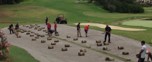 ¿Cómo seleccionar la mejor especie de grama para cada campo de golf?